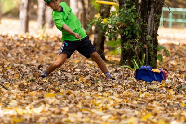 disc_golf_3
