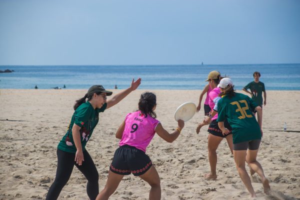 Gambozina Matosinhos 2025_2