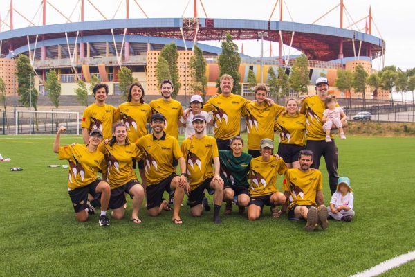 equipa gold