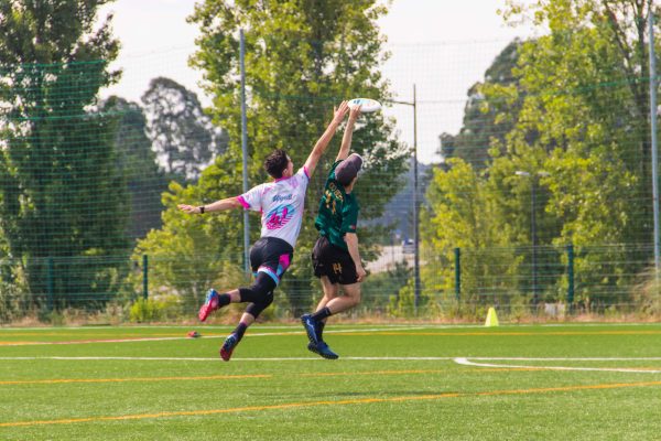 gambo14_salto
